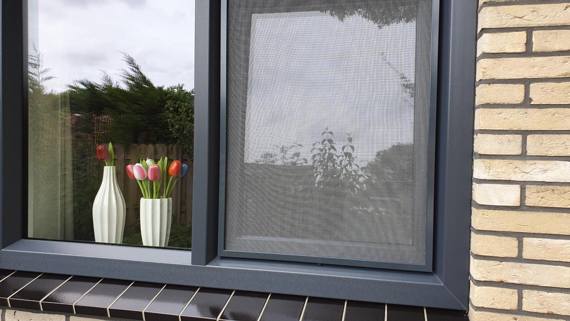 Luxe Zomerwoning Met Omheinde Tuin Voor Hond En Kinderen Dirkshorn Экстерьер фото